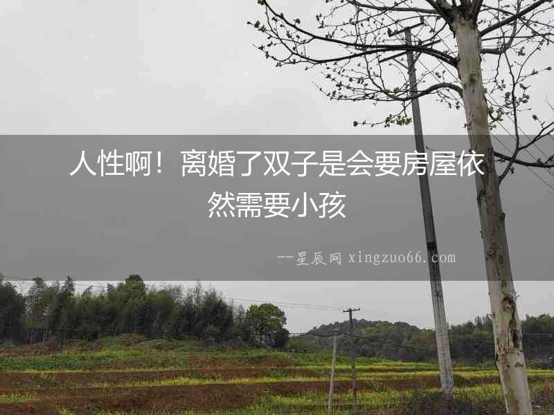 人性啊！離婚了雙子是會(huì)要房屋依然需要小孩