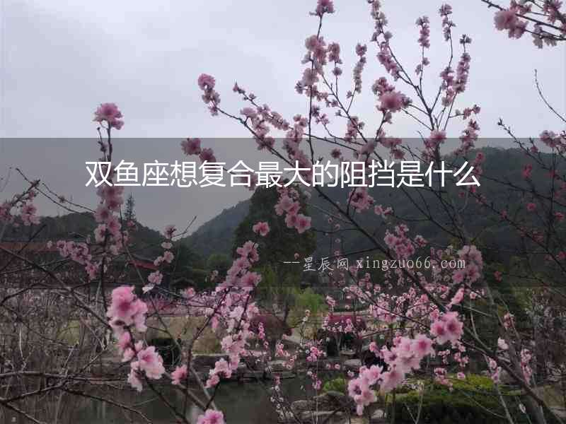 雙魚座想復合最大的阻擋是什么