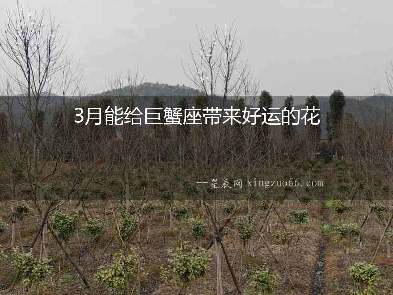 3月能給巨蟹座帶來(lái)好運(yùn)的花
