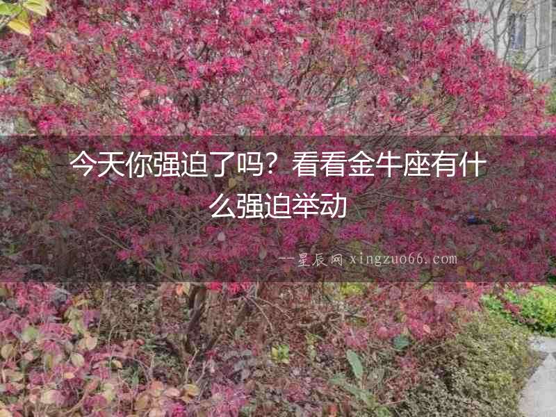 今天你強迫了嗎？看看金牛座有什么強迫舉動