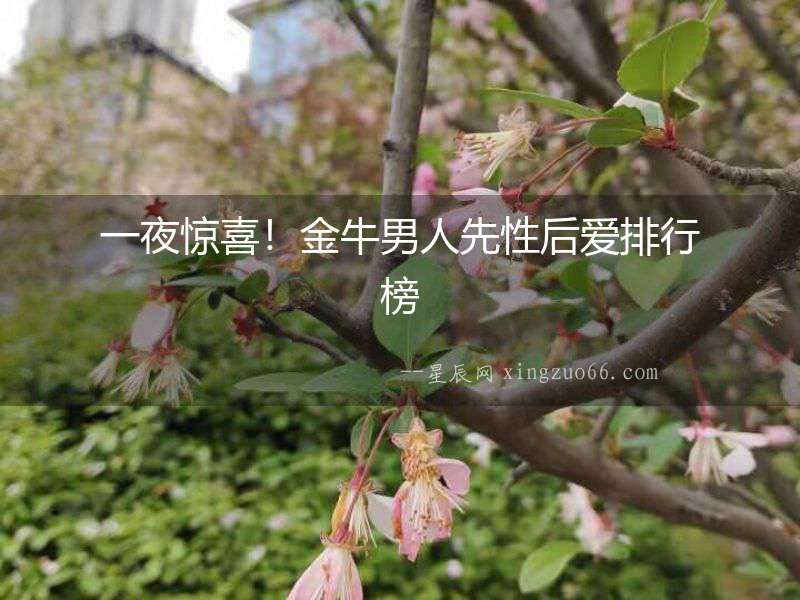 一夜驚喜！金牛男人先性后愛排行榜