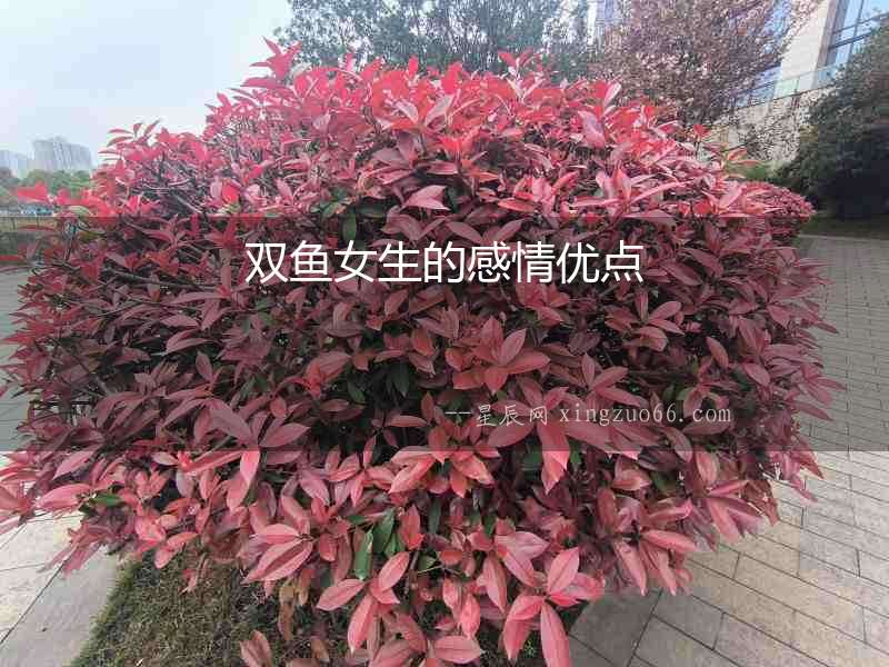 雙魚女生的感情優點