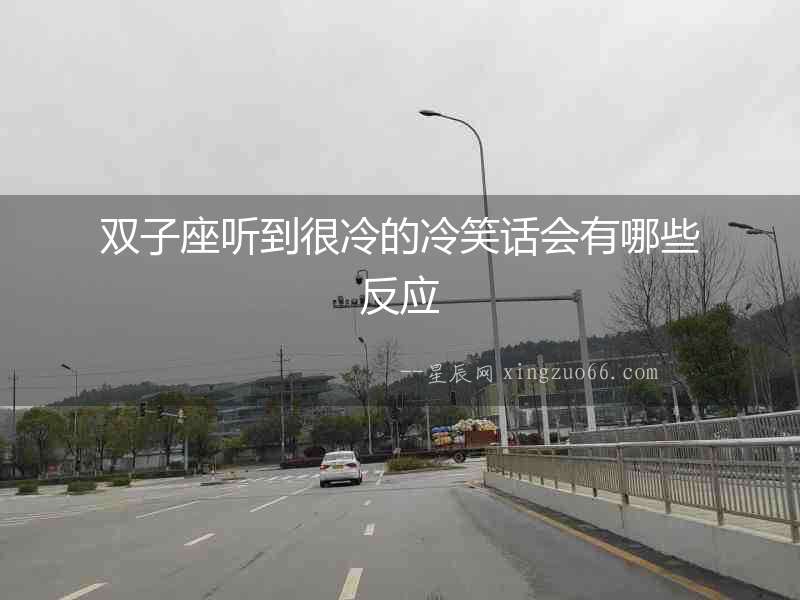 雙子座聽到很冷的冷笑話會有哪些反應(yīng)