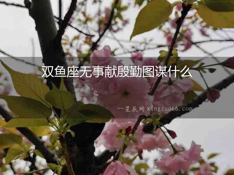 雙魚座無事獻(xiàn)殷勤圖謀什么