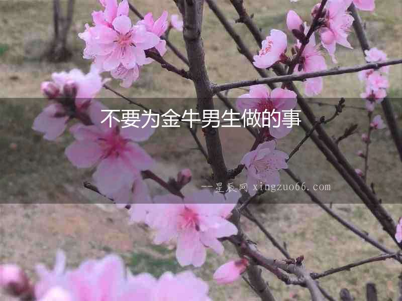 不要為金牛男生做的事