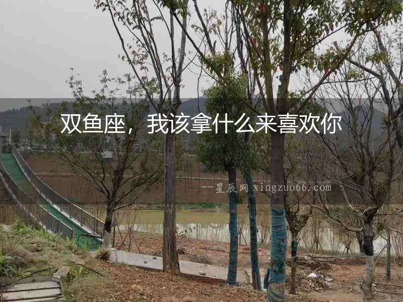 雙魚座，我該拿什么來喜歡你