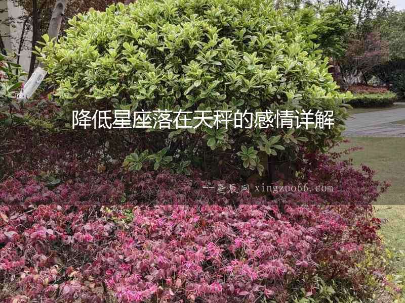 降低星座落在天秤的感情詳解
