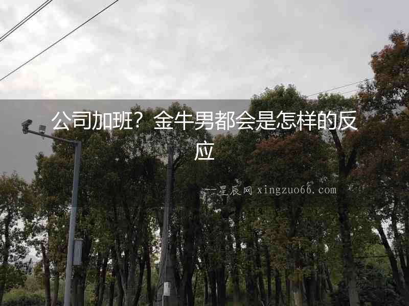 公司加班？金牛男都會是怎樣的反應(yīng)
