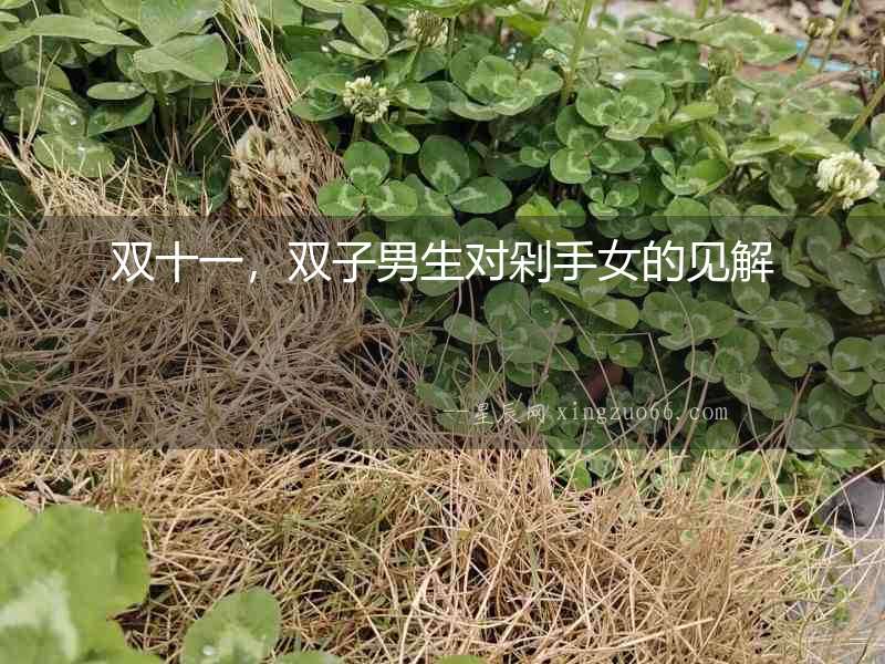雙十一，雙子男生對剁手女的見解