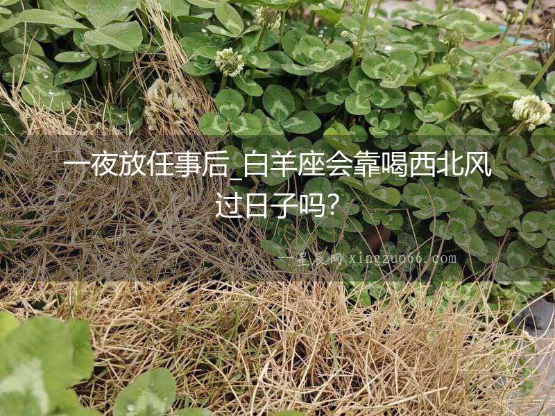 一夜放任事后_白羊座會靠喝西北風過日子嗎？