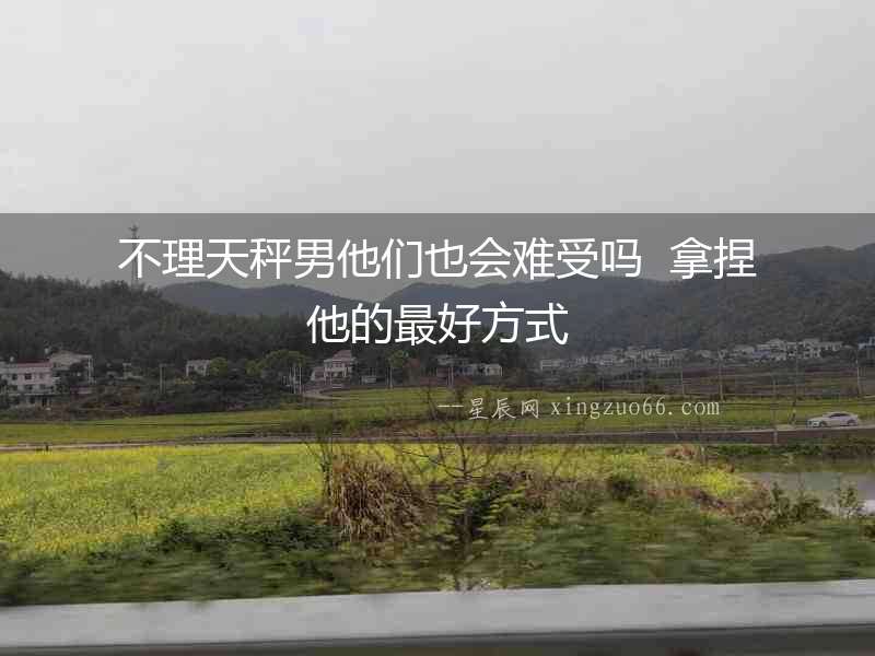 不理天秤男他們也會難受嗎  拿捏他的最好方式