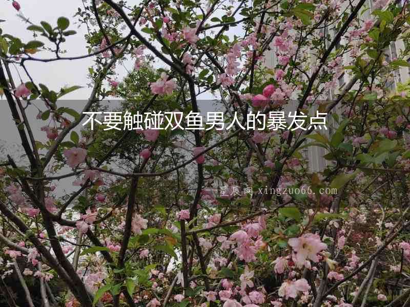 不要觸碰雙魚男人的暴發(fā)點