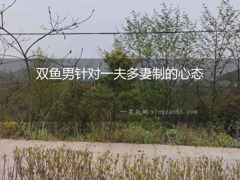 雙魚男針對一夫多妻制的心態
