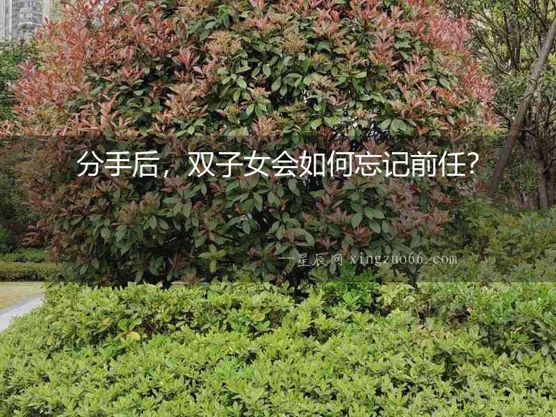 分手后，雙子女會(huì)如何忘記前任？