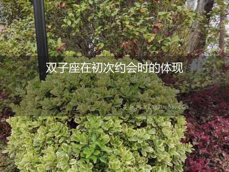 雙子座在初次約會時的體現