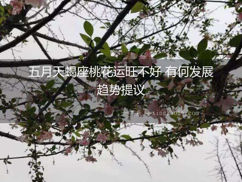 五月天蝎座桃花運旺不好 有何發(fā)展趨勢提議