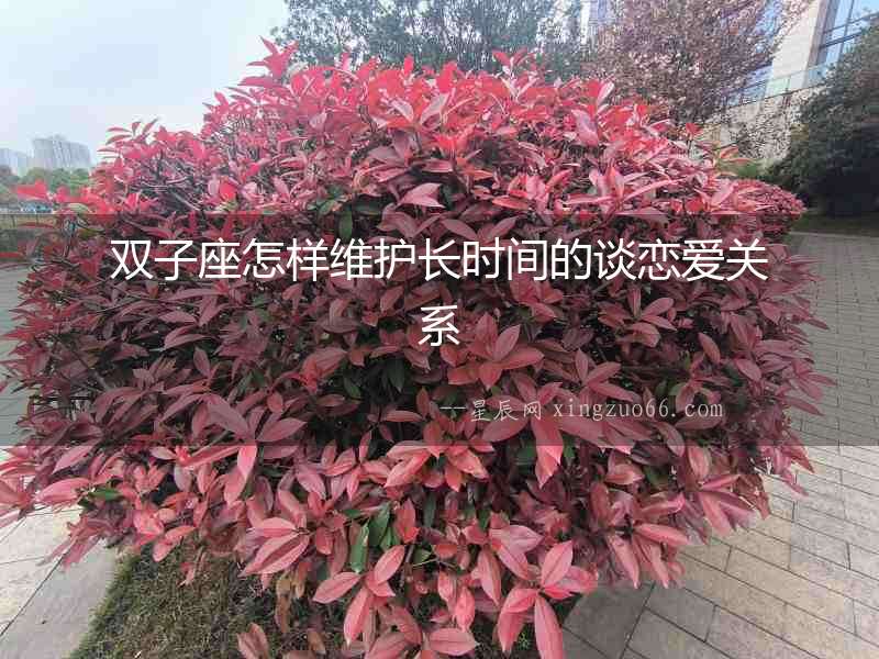 雙子座怎樣維護(hù)長(zhǎng)時(shí)間的談戀愛(ài)關(guān)系
