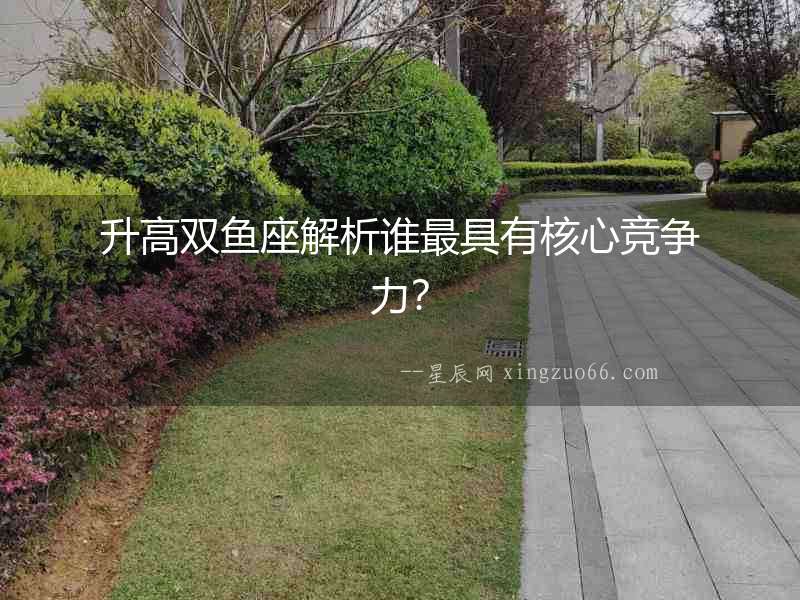 升高雙魚座解析誰最具有核心競爭力？