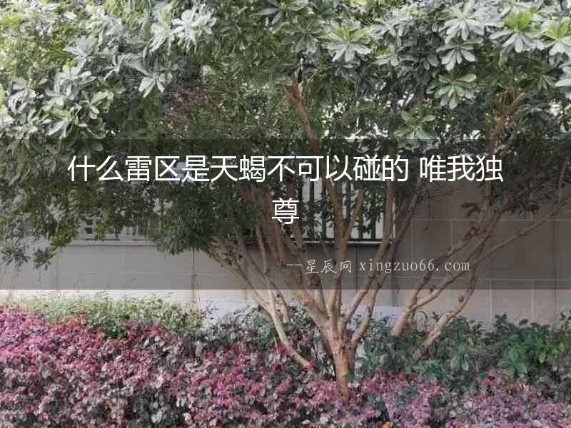 什么雷區(qū)是天蝎不可以碰的 唯我獨(dú)尊