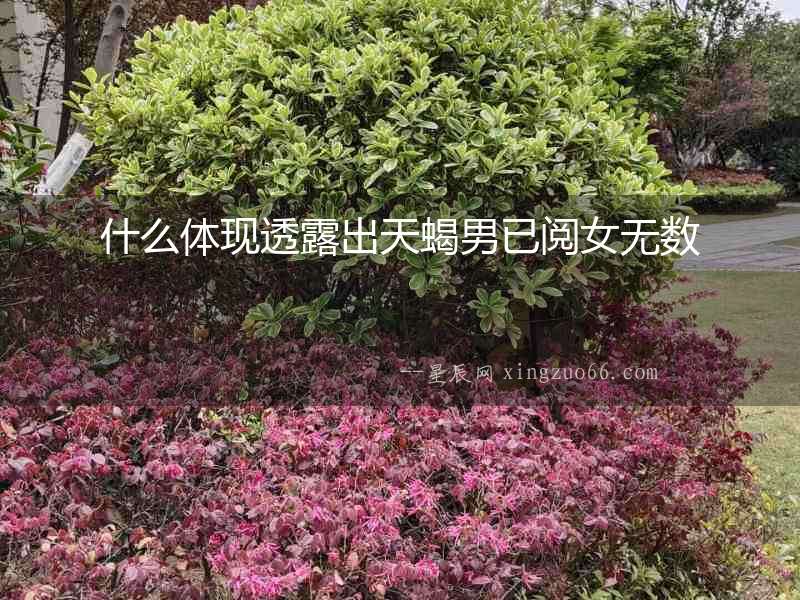 什么體現透露出天蝎男已閱女無數