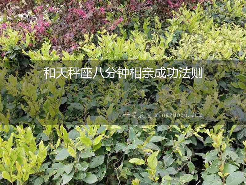 和天秤座八分鐘相親成功法則