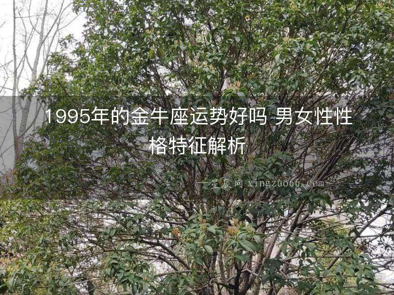 1995年的金牛座運(yùn)勢好嗎 男女性性格特征解析