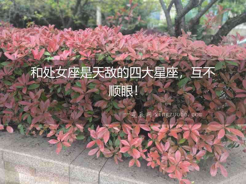 和處女座是天敵的四大星座，互不順眼！