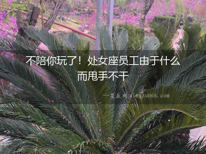 不陪你玩了！處女座員工由于什么而甩手不干
