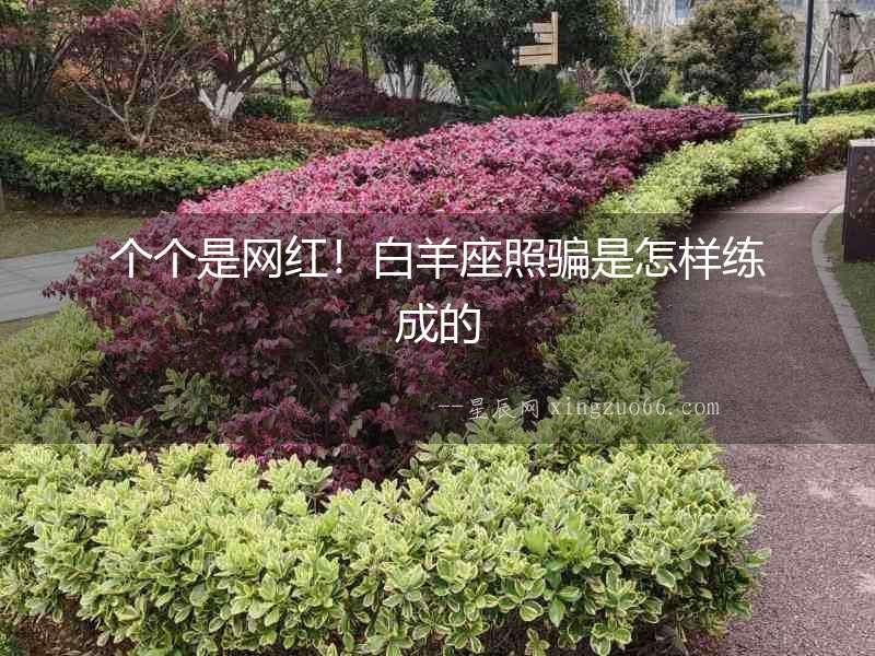 個個是網紅！白羊座照騙是怎樣練成的