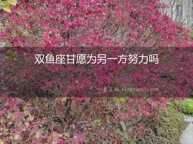 雙魚(yú)座甘愿為另一方努力嗎