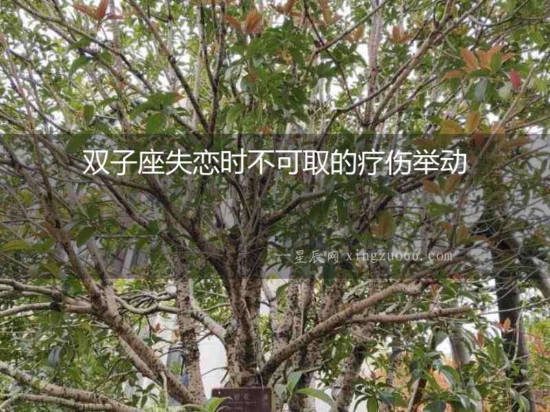 雙子座失戀時(shí)不可取的療傷舉動(dòng)