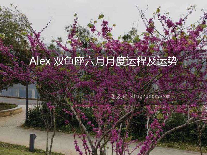 Alex 雙魚座六月月度運程及運勢