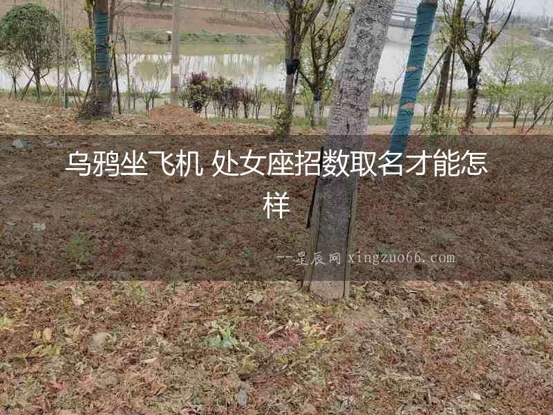 烏鴉坐飛機 處女座招數取名才能怎樣