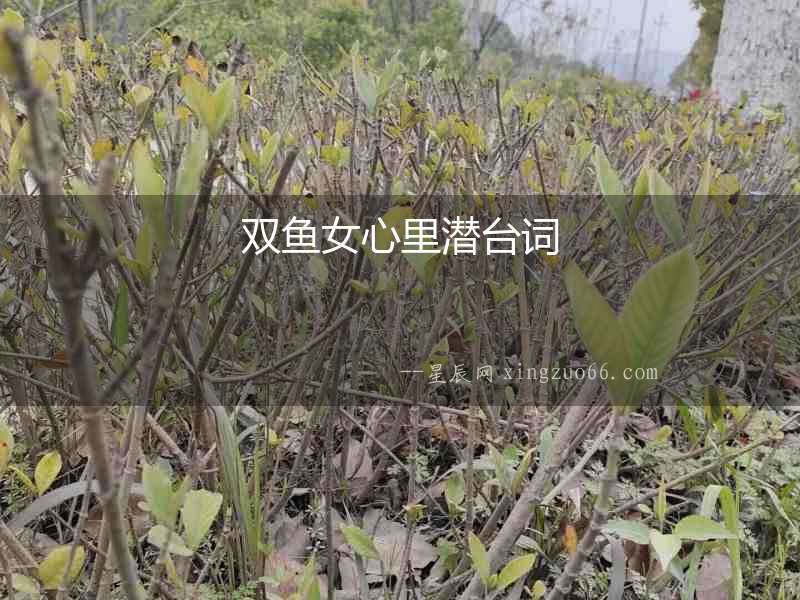 雙魚(yú)女心里潛臺(tái)詞