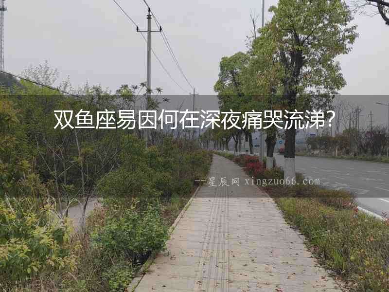 雙魚(yú)座易因何在深夜痛哭流涕？