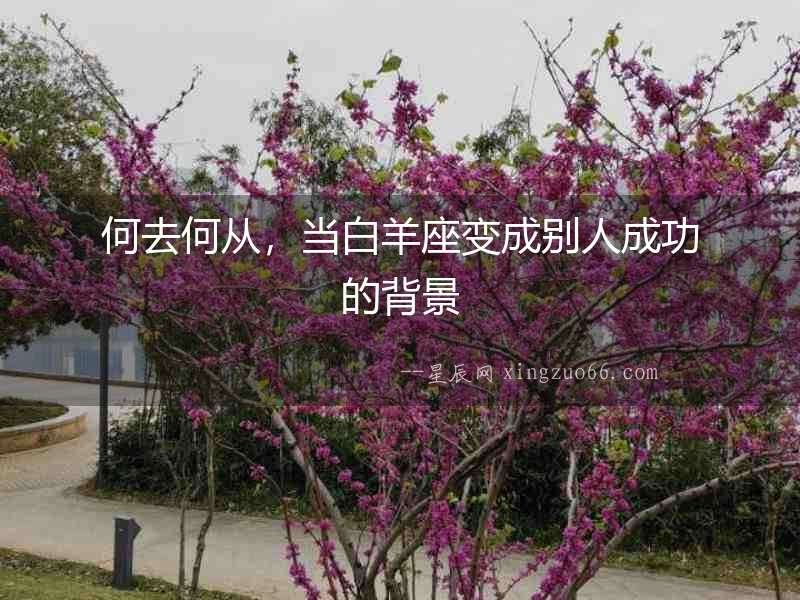 何去何從，當(dāng)白羊座變成別人成功的背景