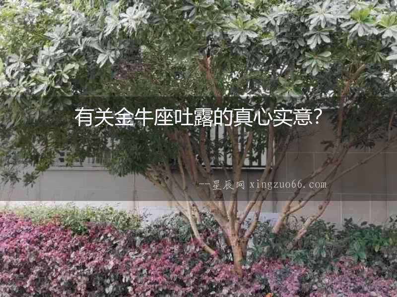 有關金牛座吐露的真心實意？