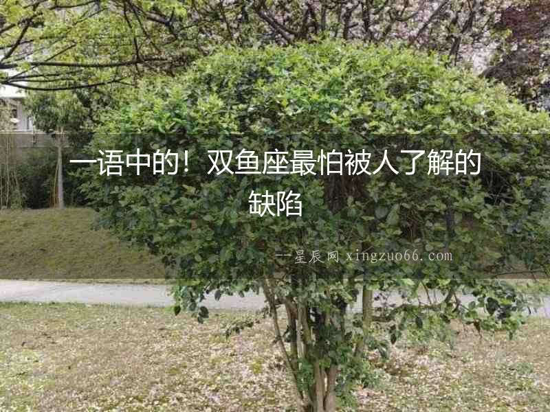 一語中的！雙魚座最怕被人了解的缺陷