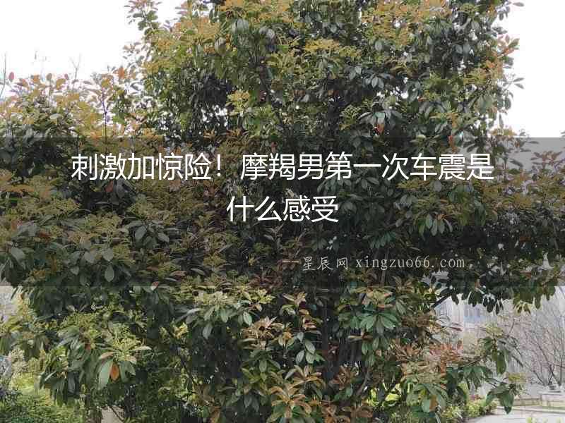 刺激加驚險！摩羯男第一次車震是什么感受