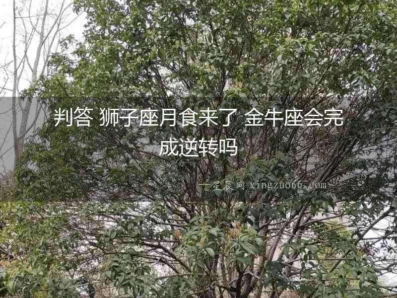 判答 獅子座月食來了 金牛座會完成逆轉嗎