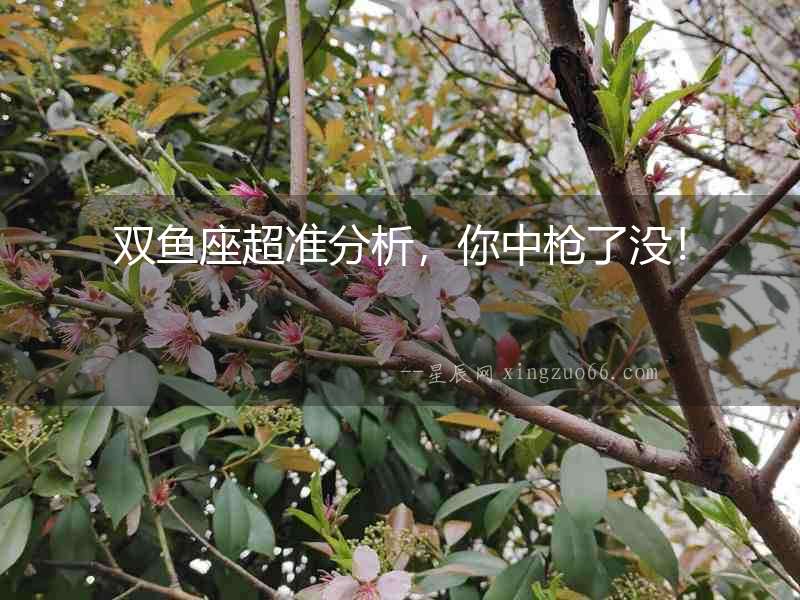 雙魚座超準分析，你中槍了沒！