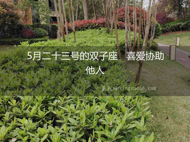 5月二十三號的雙子座   喜愛協(xié)助他人