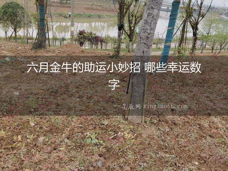 六月金牛的助運(yùn)小妙招 哪些幸運(yùn)數(shù)字