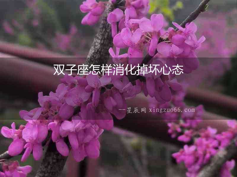 雙子座怎樣消化掉壞心態(tài)