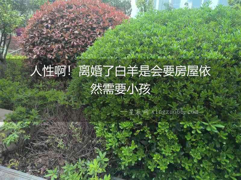 人性啊！離婚了白羊是會要房屋依然需要小孩