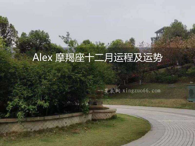 Alex 摩羯座十二月運程及運勢