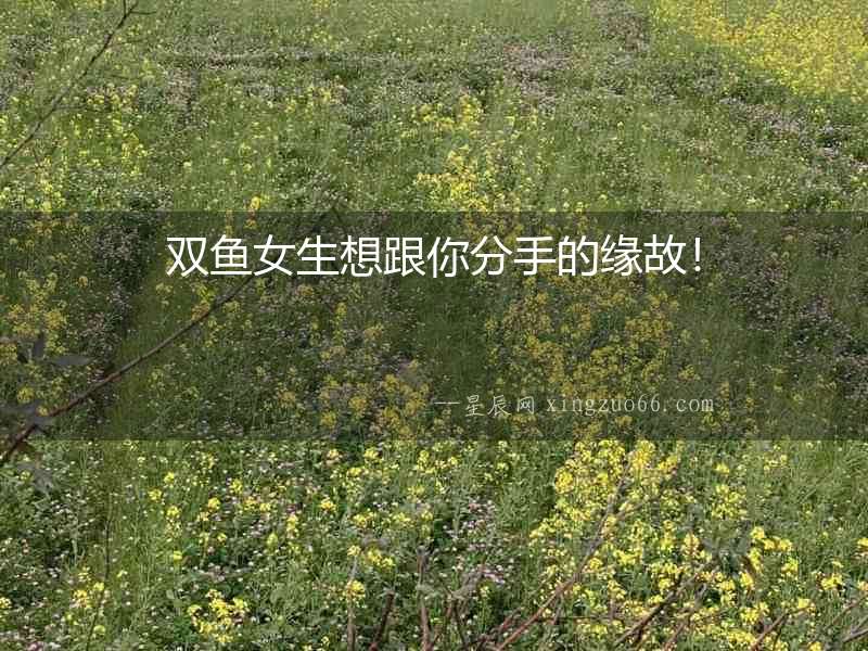 雙魚女生想跟你分手的緣故！
