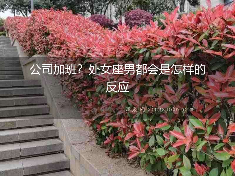 公司加班？處女座男都會是怎樣的反應(yīng)