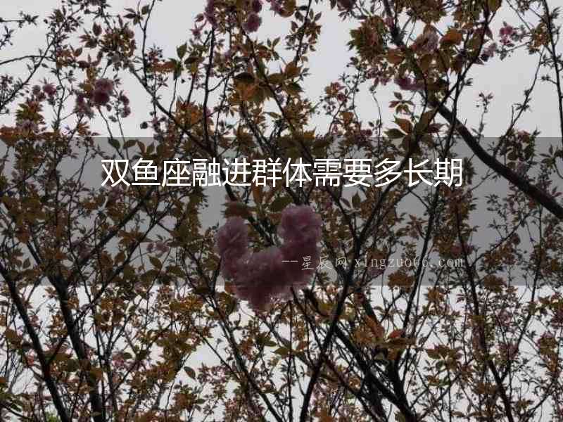 雙魚座融進群體需要多長期