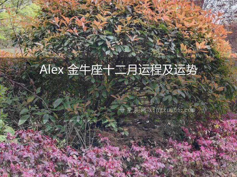 Alex 金牛座十二月運程及運勢